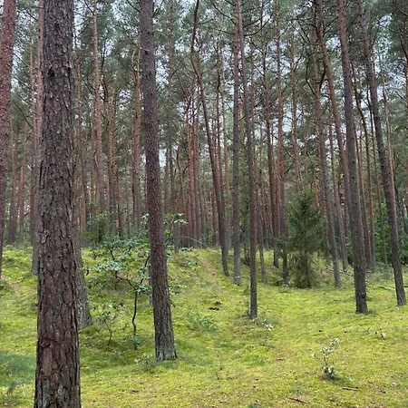 Morze Słońca - Zacisze Apartament Łukęcin